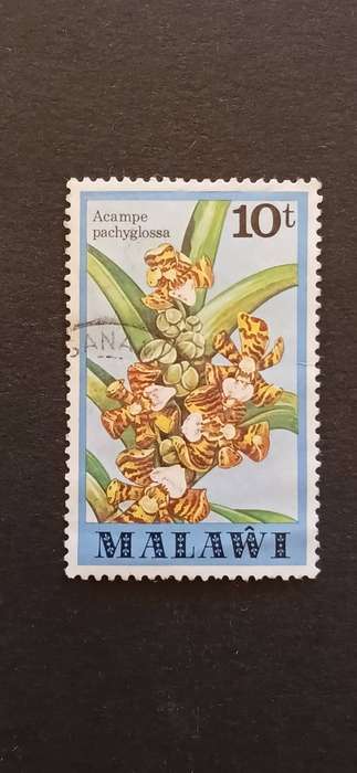 MALAWI 1979 ORCHIDS