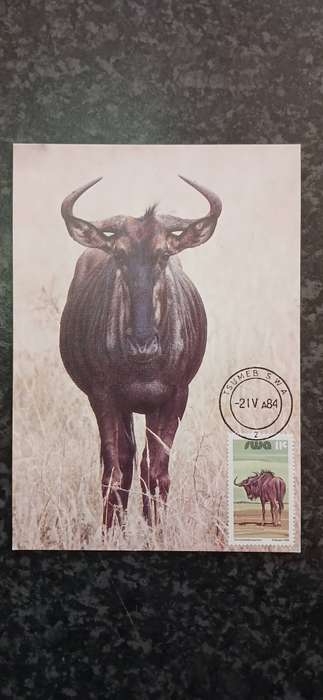 S.W.A 1984 WILD MAMMALS