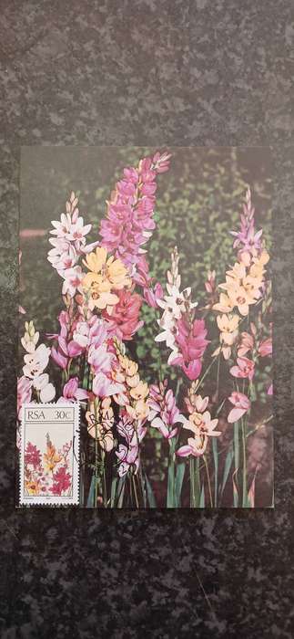 SOUTH AFRICA 1985 FLORAL EMIGRANTS