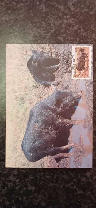 TRANSKEI 1987 DOMESTIC ANIMALS