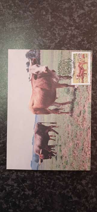 TRANSKEI 1987 DOMESTIC ANIMALS