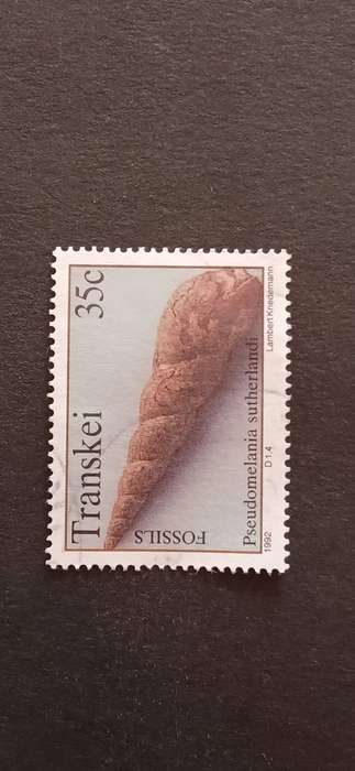 TRANSKEI 1992 FOSSIL SHELLFISH