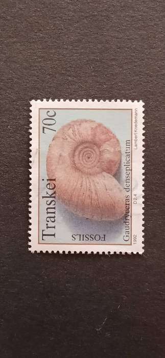TRANSKEI 1992 FOSSIL SHELLFISH
