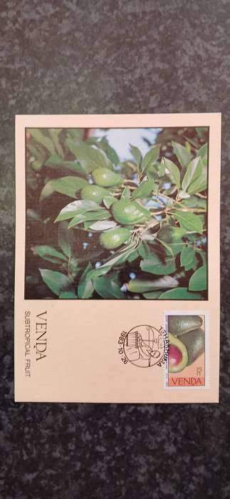 VENDA 1983 FRUITS