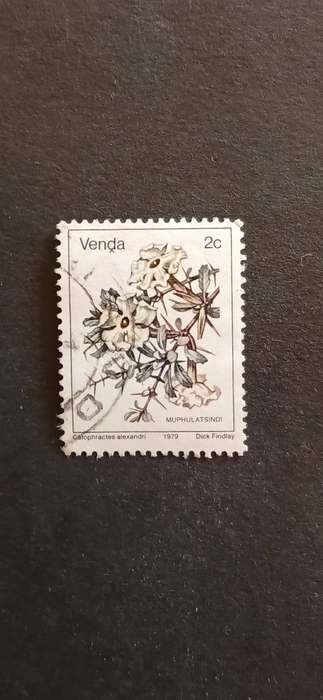 VENDA 1979 FLOWERS