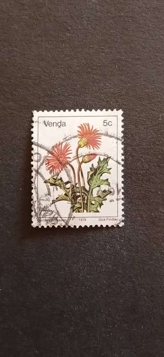 VENDA 1979 FLOWERS