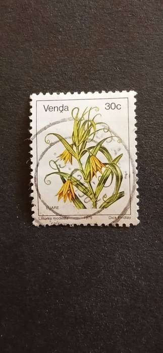 VENDA 1979 FLOWERS