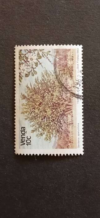 VENDA 1983 TREES