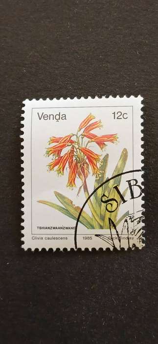 VENDA 1985 FLOWERS