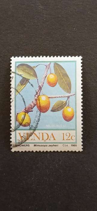 VENDA 1985 FRUITS