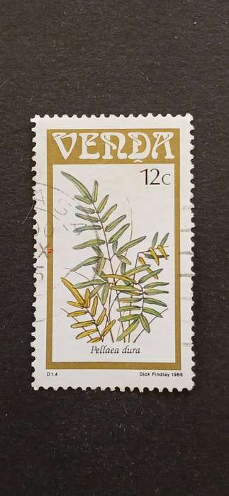 VENDA 1985 FERNS
