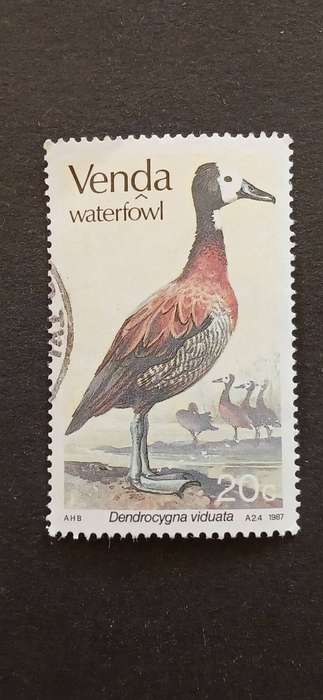 VENDA 1987 WATERFOWL
