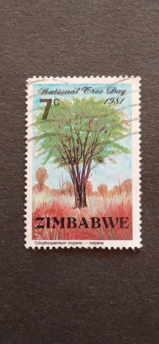 ZIMBABWE 1981 NATIONAL TREE DAY