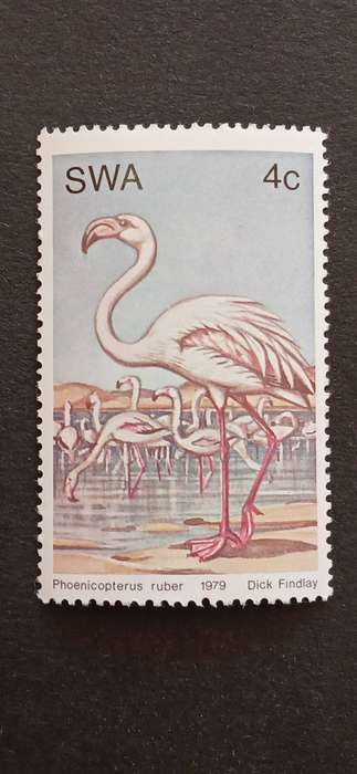 S.W.A 1979 WATER BIRDS
