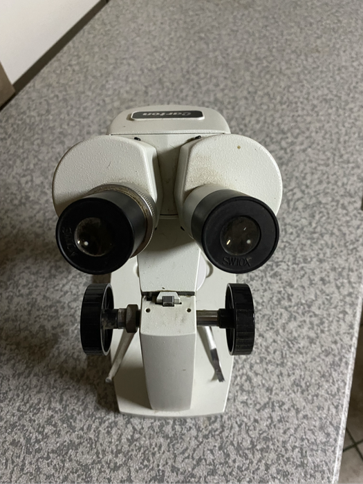Carton Binocular microscope