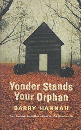Yonder Stands Your Orphan  by Barry Hannah