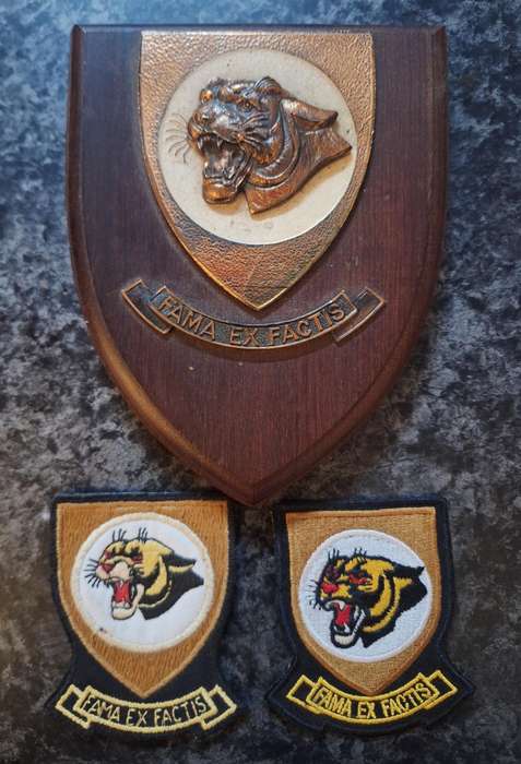 SAAF 19 Squadron set