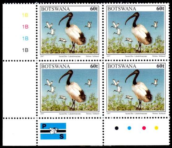 Botswana - 1997 Birds 60t Ibis Corner Block 1B MNH SG 860