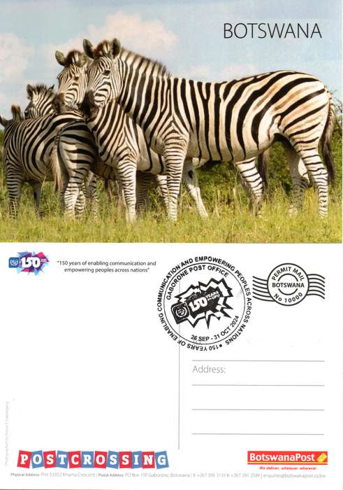 Botswana - 2024 Zebra Postcard Cancelled