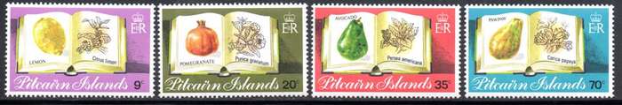 Pitcairn Islands - 1982 Fruit Set MNH SG 222-225
