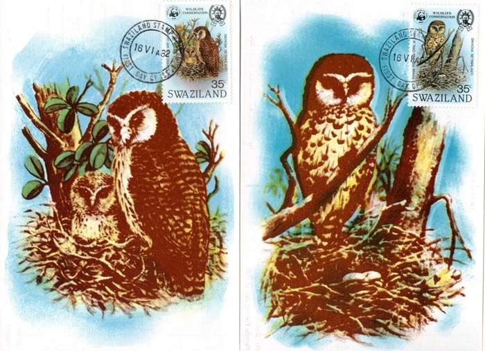 Swaziland - 1982 WWF Owl Maxi Card Set SG 399-403
