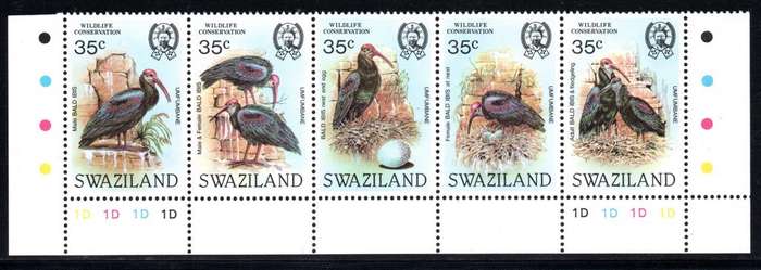 Swaziland - 1984 Wildlife Conservation Bald Ibis 1D Control MNH SG 448a