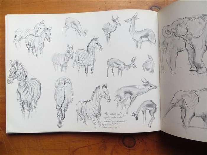 Tony Grogan's South African Sketch Book - 1984 1st Edition
