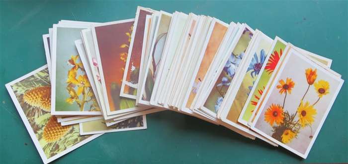 1 - 100 Complete SA Flora Cigarette Cards Set