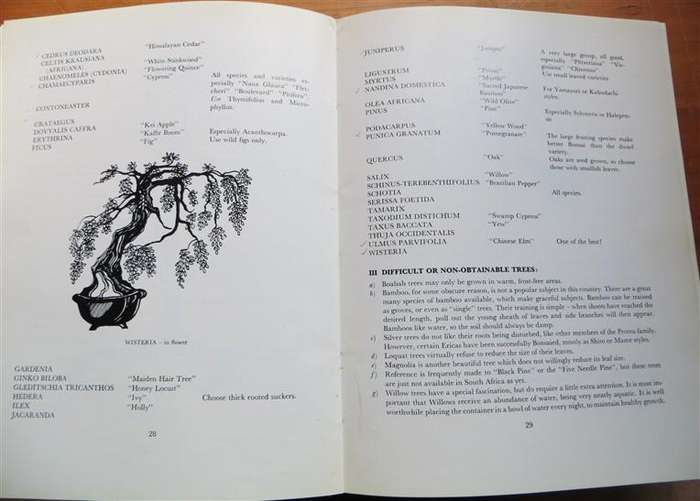 South African Bonsai Book - D.Hall & D.Black