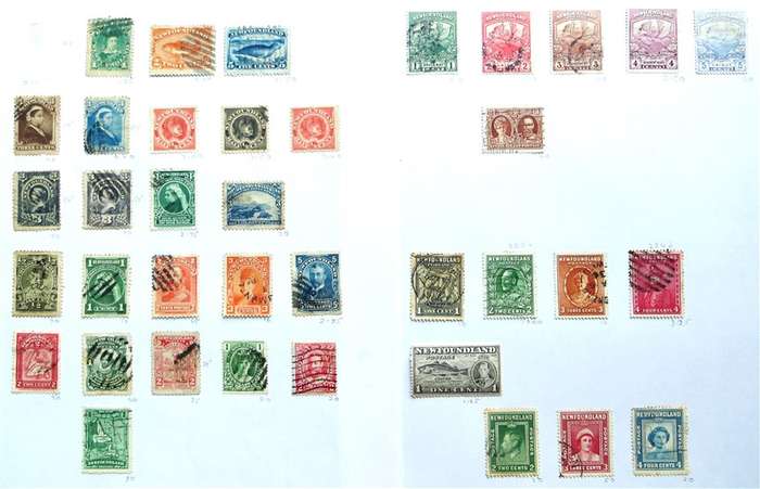 Newfoundland Early Stamps Lot on Pages