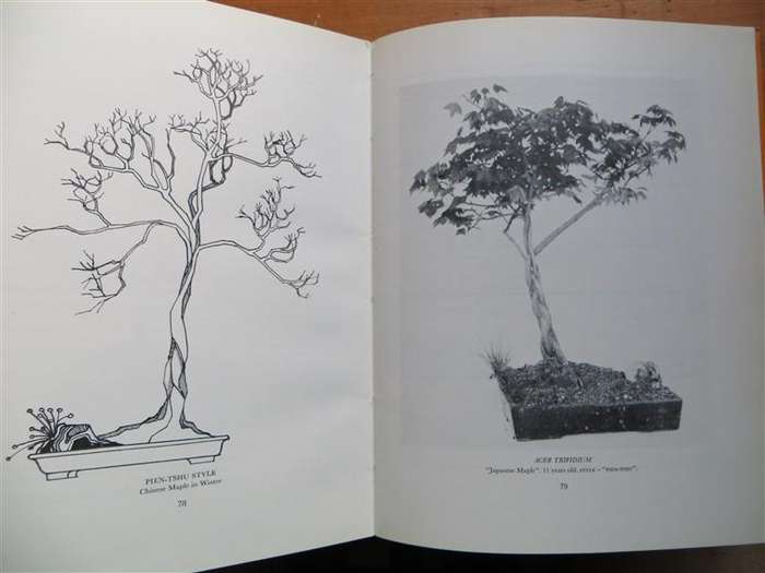 South African Bonsai Book - D.Hall & D.Black