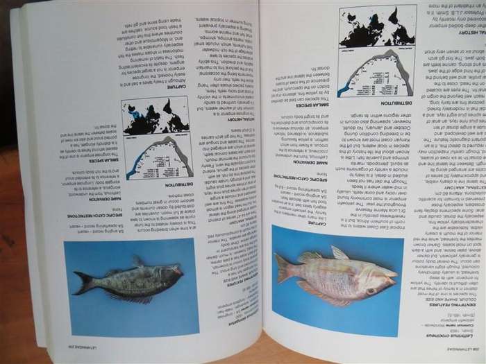 Guide to the Common Sea Fishes of Southern Africa - Rudy Van Der Elst