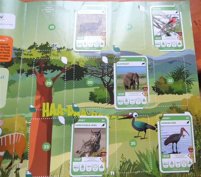 South African Super Animals Trading Cards Collection - Album with 36 x Cards