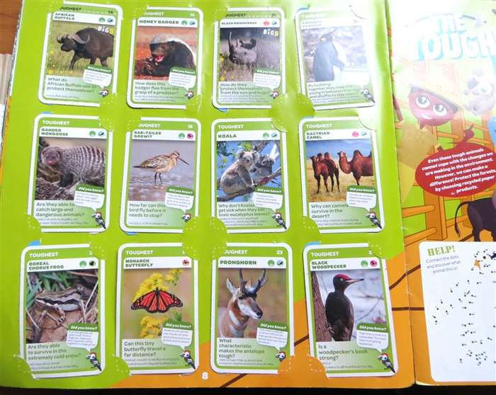 Super Animals Trading Cards Collection - Album with 76 x Cards