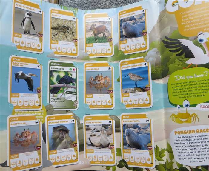 South African Super Animals Trading Cards Collection - 3 missing