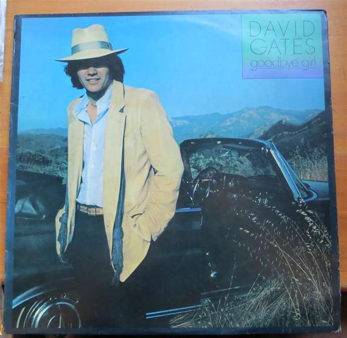 David Gates - Goodbye Girl - Vintage Vinyl LP VG
