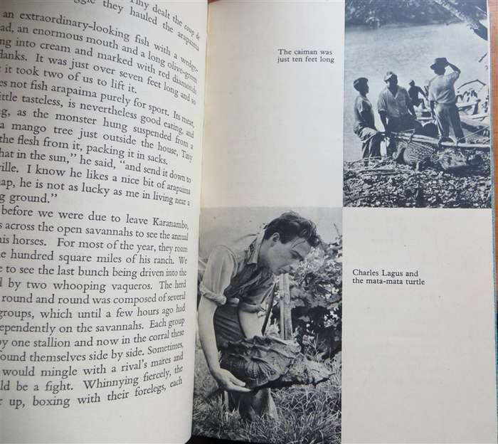 Zoo Quest to Guiana - David Attenborough