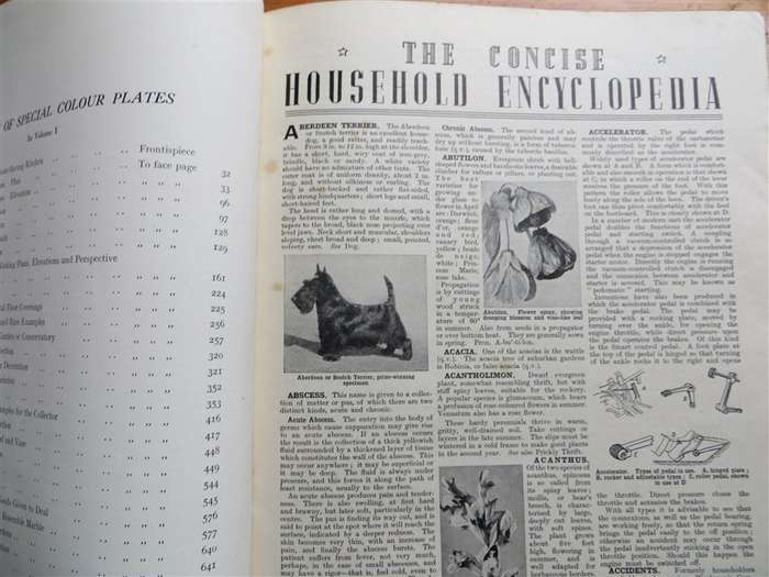 The Concise Household Encyclopaedia Vol.1 - Vintage Hardcover