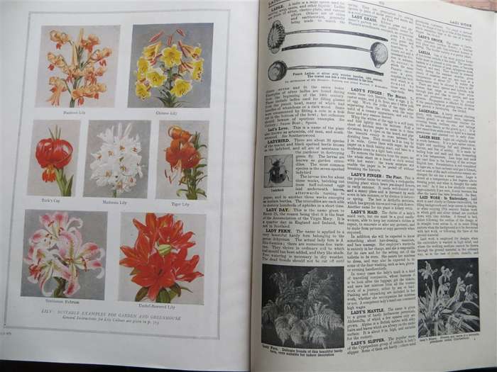 The Concise Household Encyclopaedia Vol.1 - Vintage Hardcover
