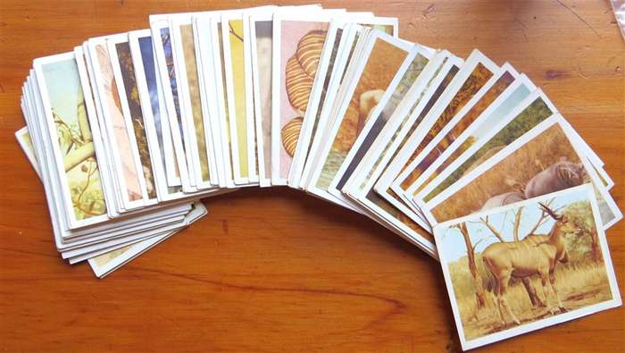 Complete Set of 100 x National Parks Cigarette Cards