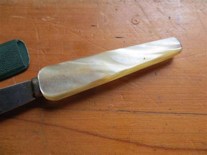 Small Knife with faux shell/bone handle