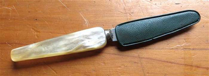 Small Knife with faux shell/bone handle