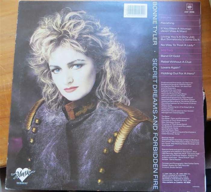 Bonnie Tyler - Secret Dreams & Forbidden fire - Vintage Vinyl LP VG