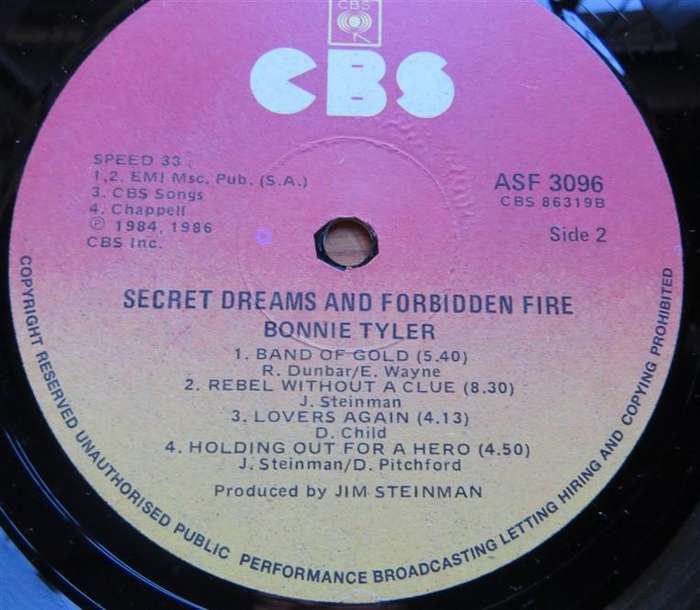 Bonnie Tyler - Secret Dreams & Forbidden fire - Vintage Vinyl LP VG