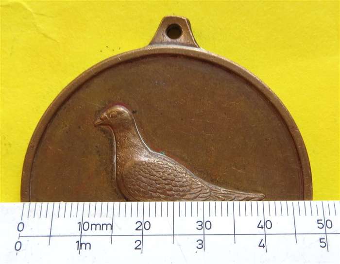 Large Racing Pigeon Club 1st Place Medal 1993 - 48mm