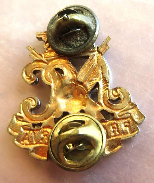 Natal Carbineers Badge