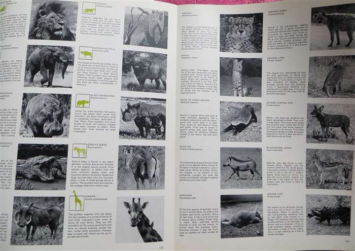 The Book of Hunting - Hardcover