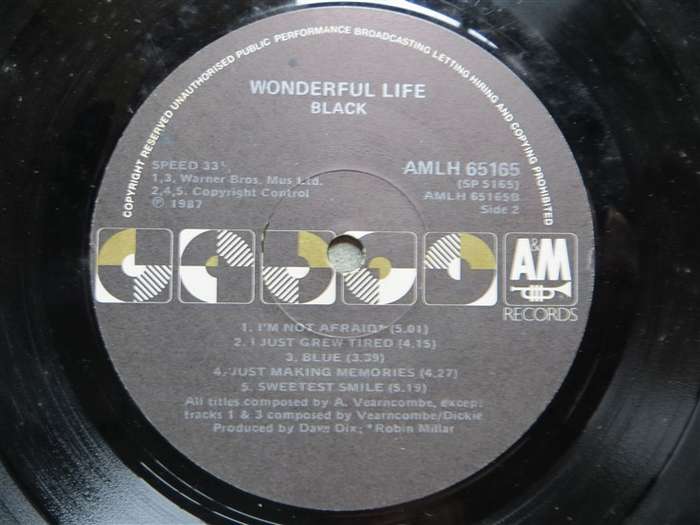Black - Wonderful Life - Vintage Vinyl LP - VG