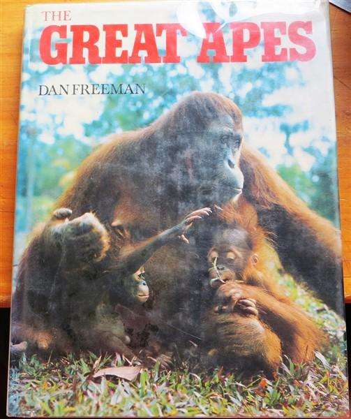 The Great Apes - Dan Freeman - Large Hardcover