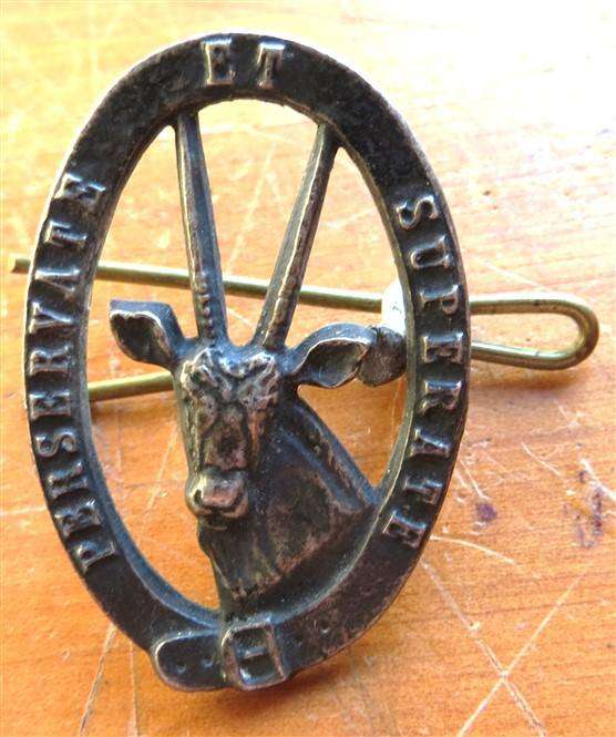 8 SAI - Mechanised Infantry Battalion Badge - 1 Lug